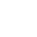 Icon Automotive