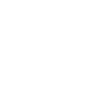 icon rails